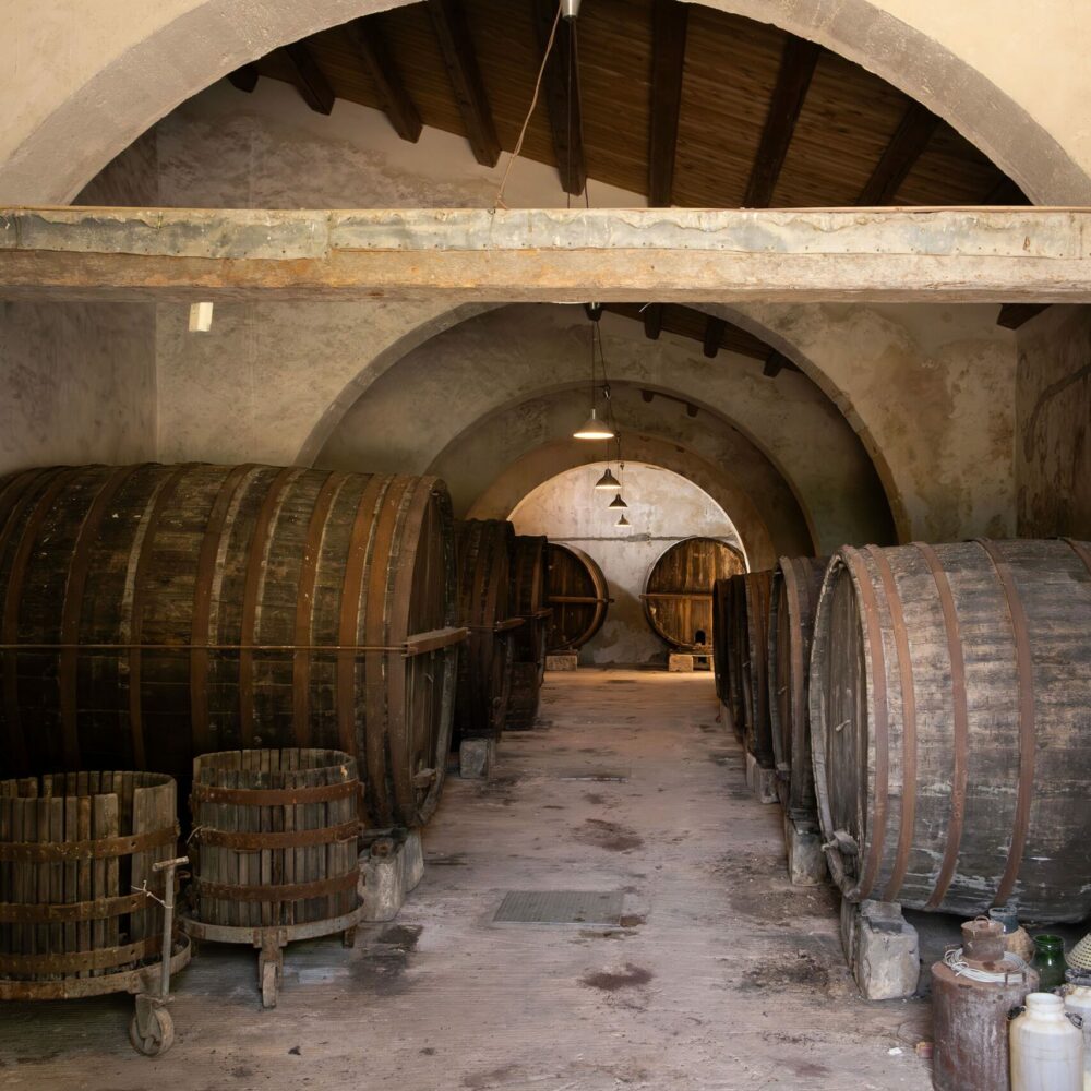 visite-producteurs-sicile-vignoble